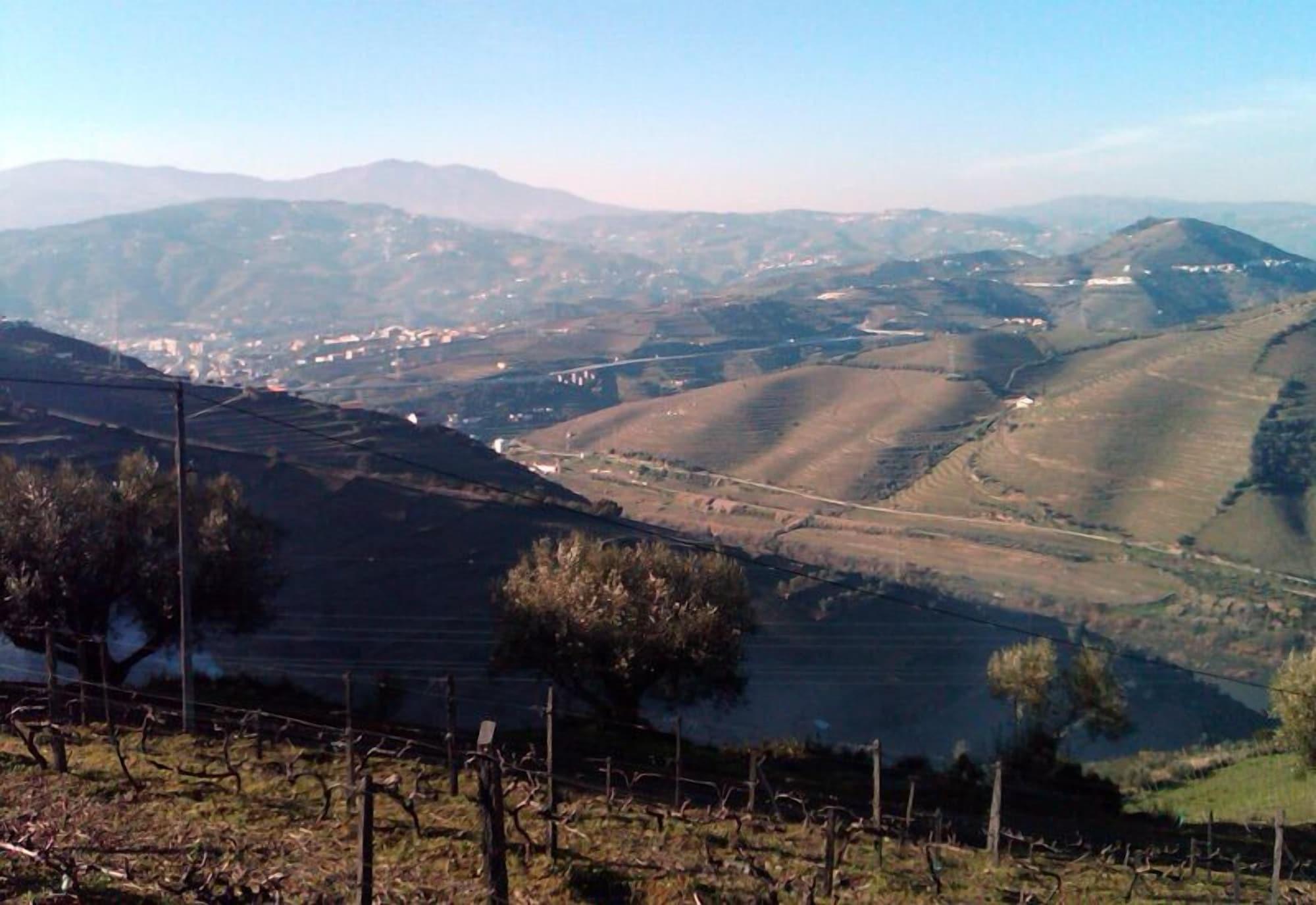 Quinta De Casaldronho Wine Hotel Lamego Kültér fotó