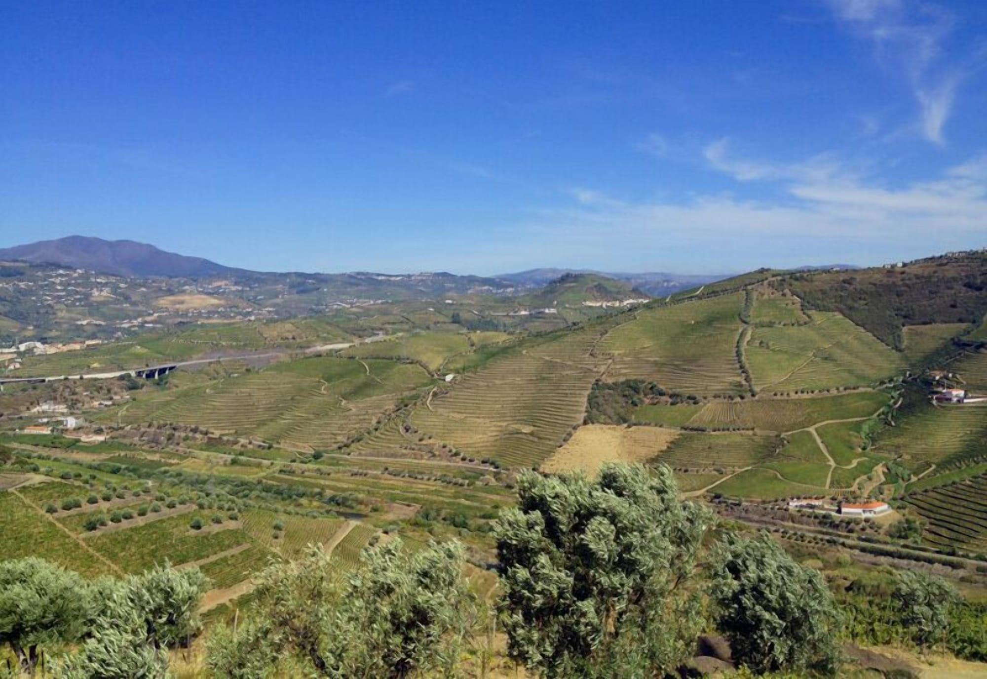 Quinta De Casaldronho Wine Hotel Lamego Kültér fotó