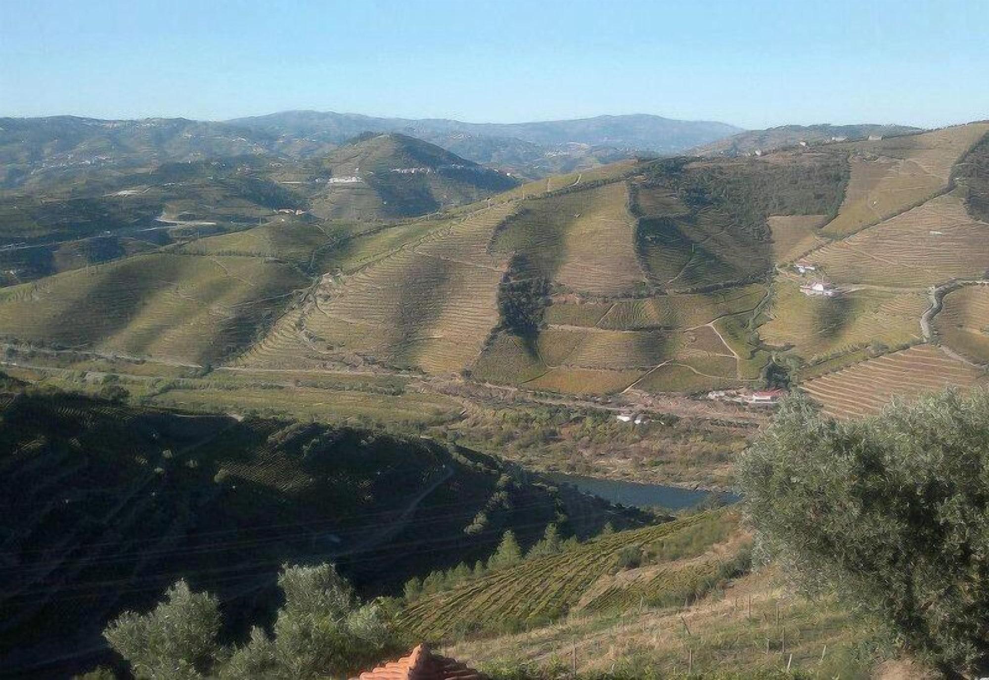 Quinta De Casaldronho Wine Hotel Lamego Kültér fotó