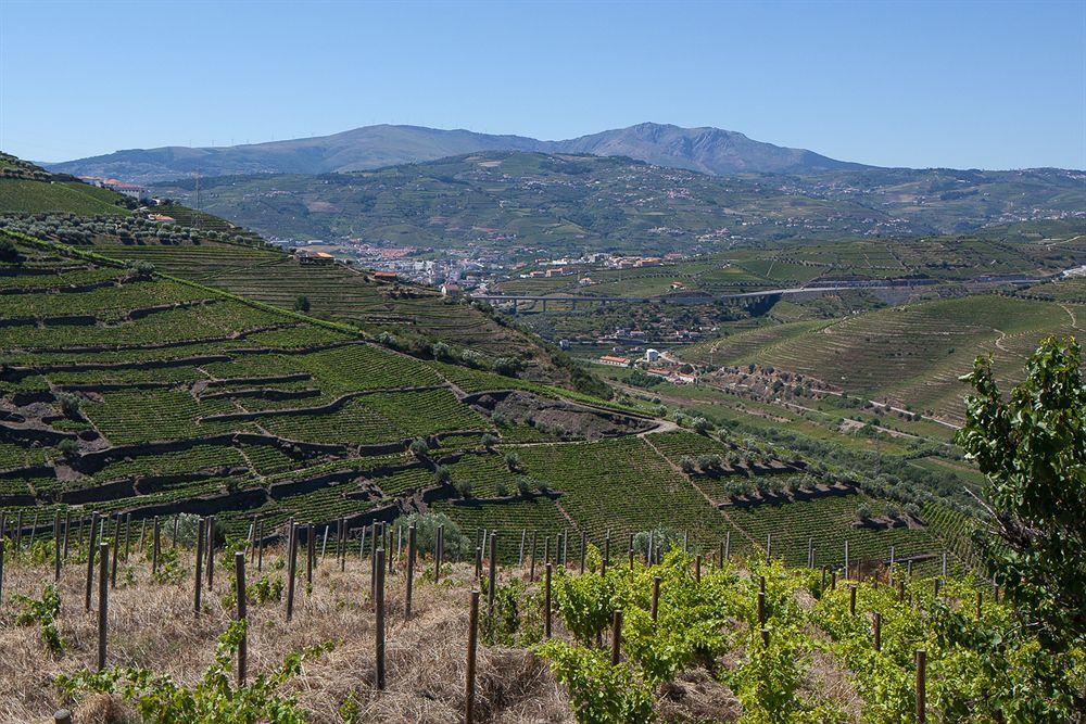 Quinta De Casaldronho Wine Hotel Lamego Kültér fotó